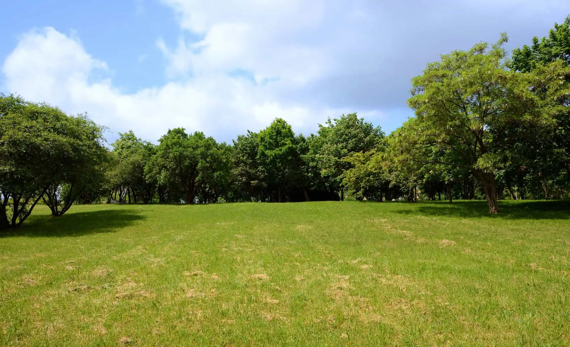 Land Insurance Vermont