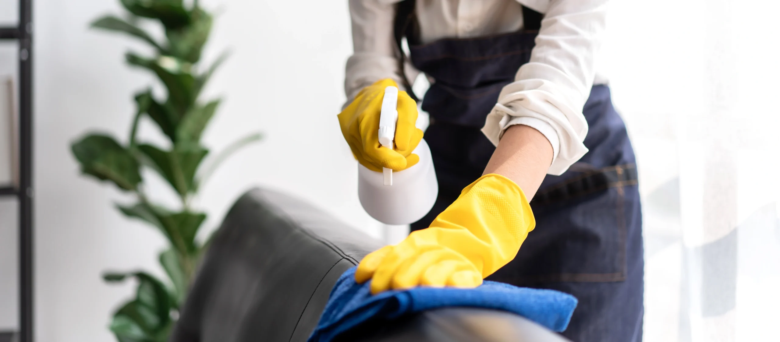 House Cleaning Insurance Vermont